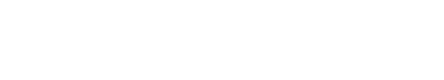 Fastspin